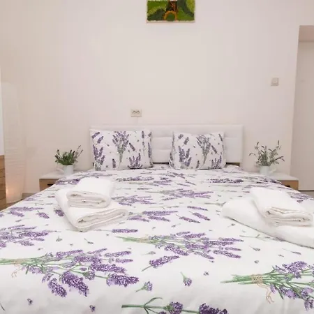 Casa Cu Lavanda Lodge